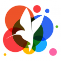 小鸟壁纸app安卓版 2.1.4最新版