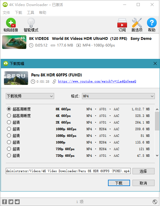 4KVideoDownloade中文便携版4.21.0.4940绿色版截图1