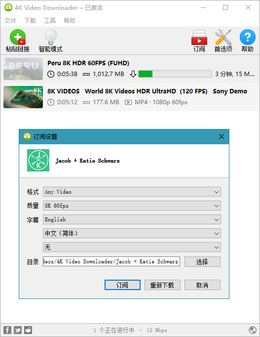 4KVideoDownloade中文便携版4.21.0.4940绿色版截图0