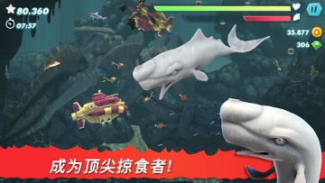 Hungry Shark(���I���M�����H��ȫ�o���ƽ��)�؈D1
