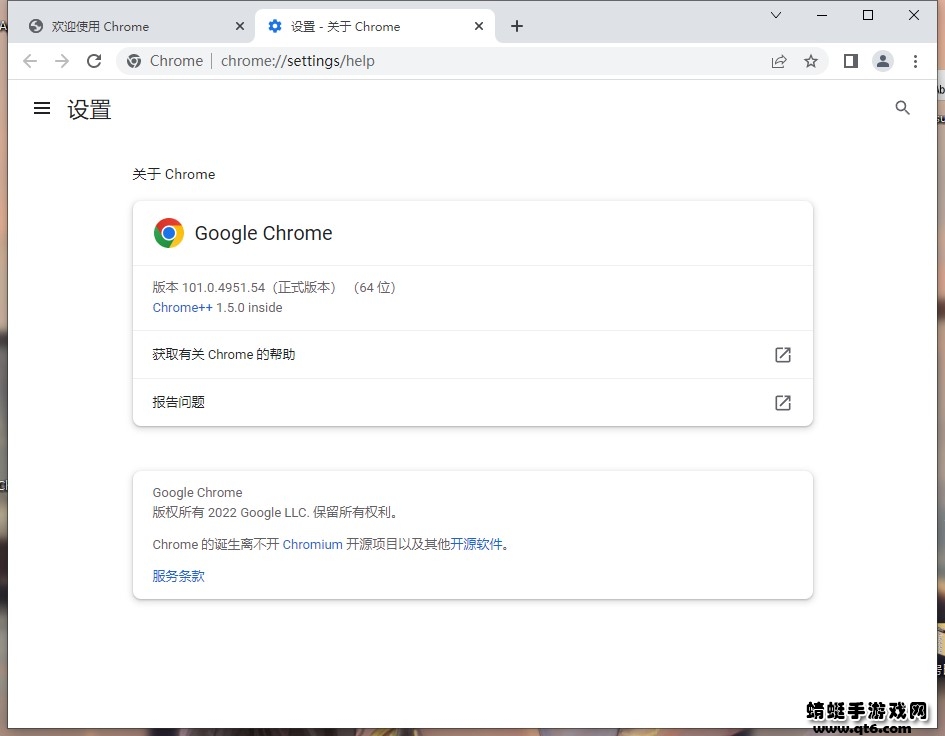 Google Chrome绿色免安装版102.0.5005.63便携版截图0